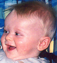 Image for Jasper  Dor