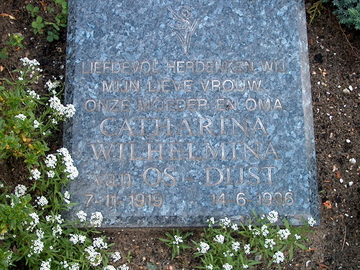 Afbeelding bij Catharina Wilhelmina Dijst