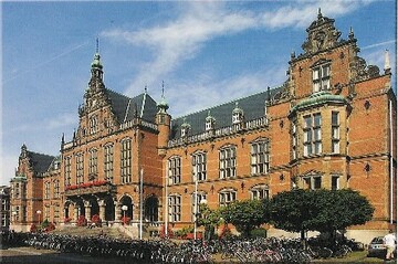 Image for Petrus Ackermans