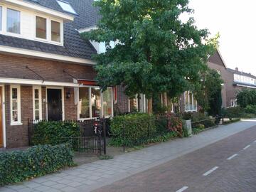 Afbeelding bij Wilhelmus, Lambertus Ackermans