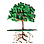 Forum logo