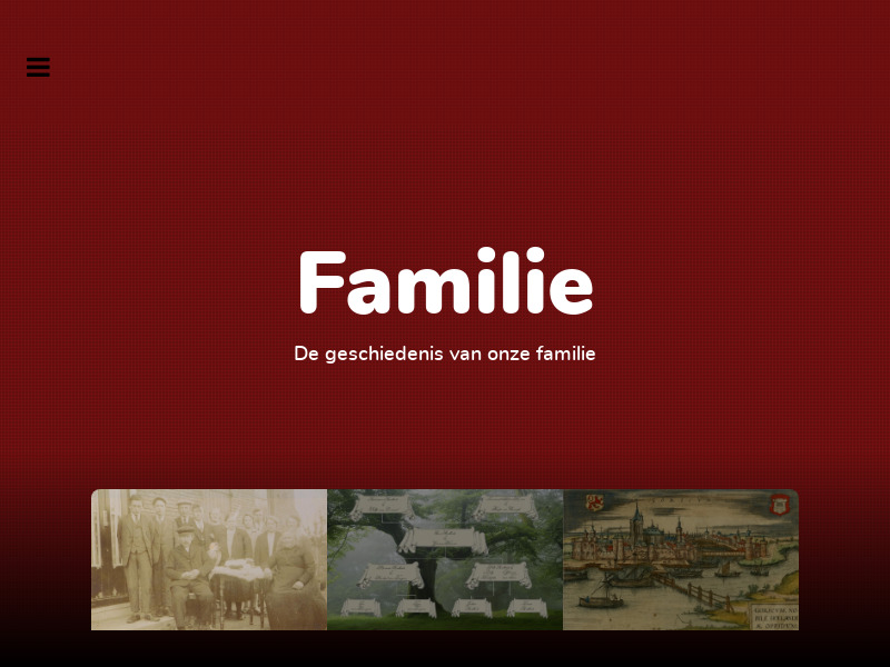 Screenshot van website